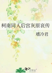 柯南同人后宫灰原哀传