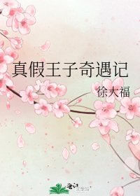 真假王子奇遇记